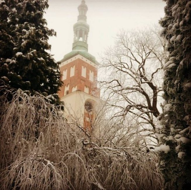 Zimowo u Benedyktynów - serek_gda