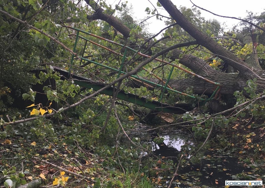 Poprzedni mostek zniszczyło powalone drzewo 