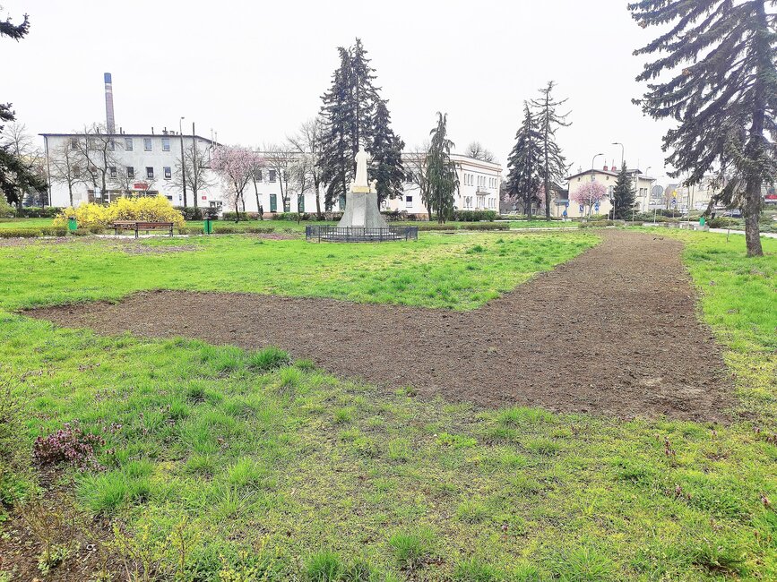 Nowa łąkę wysiano na Skwerze Jana Pawła II