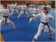 Karatecy zapraszają na treningi