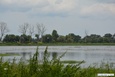 Jezioro na łąkach