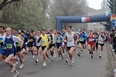 Pacemakerzy na półmaratonie