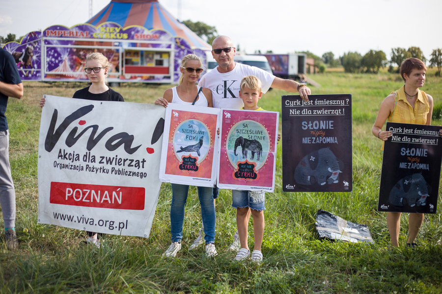 Sierpniowy protest przed cyrkiem w Kościanie.