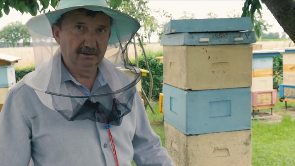 Film o pszczelarzu