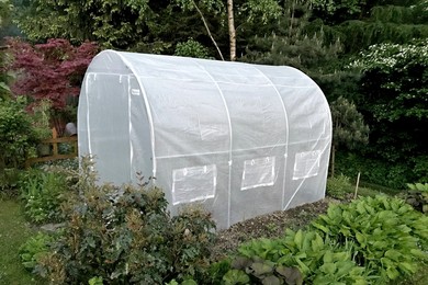 Jak uprawiać warzywa w tunelu ogrodowym?