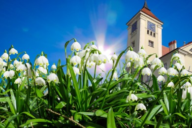 Wydarzenia pierwszego weekendu wiosny w Kościanie