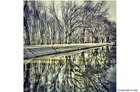 Park nad rzeką, Michał Liwerski