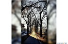 Pierwszy powiew wiosny, Kinga Nowacka