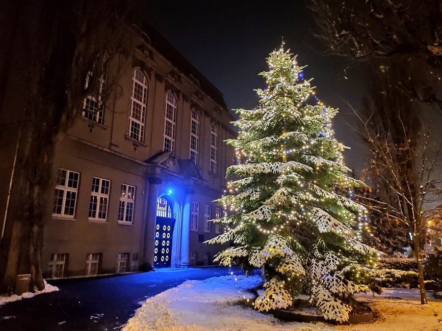 Choinka przed I LO im. O. Kolberga