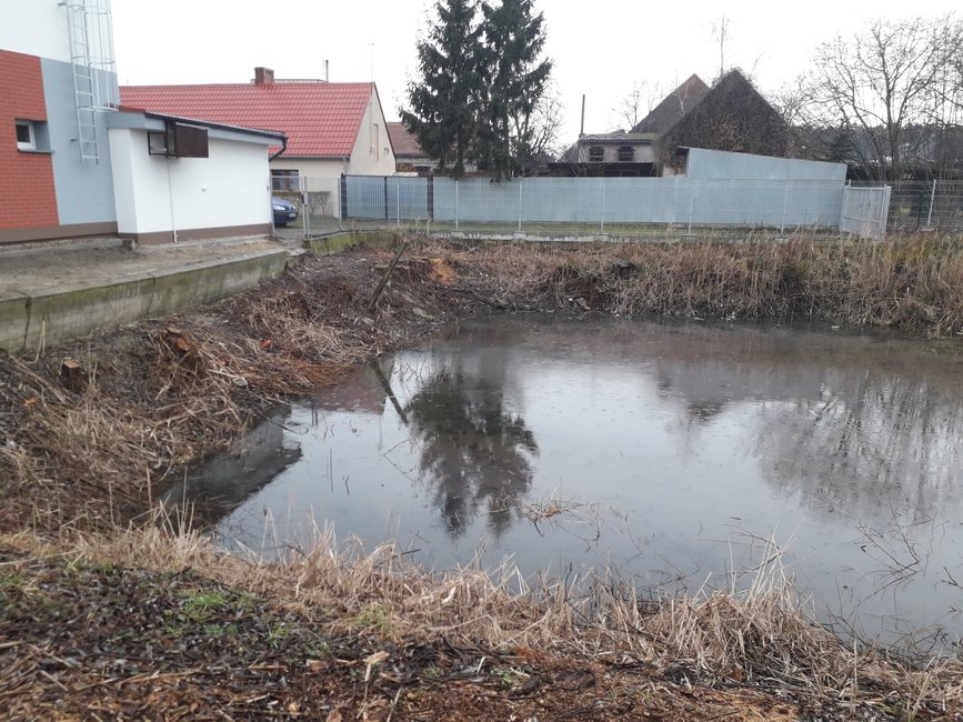 Staw w Starym Luboszu przed rewitalizacją.