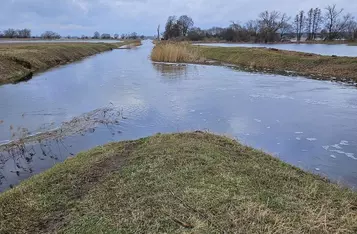 Kościański Kanał Obry w okolicy Gryżyny 