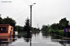 Borowo - Fot. Zygmunt Kramek 