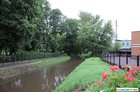 Czempiń - Olszynka 21.07.2011 godz. 8.00 Fot. Tomasz Kościuszko