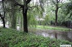 Czempiń - Olszynka 21.07.2011 godz. 8.00 Fot. Tomasz Kościuszko