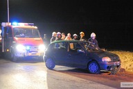 Uderzył w psa i dachował 
