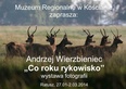 Wystawa fotografii w muzuem