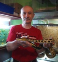 Pogromca ognia i zwierząt