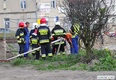 Znów uszkodzono gazociąg