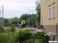 Polowanie na podróżnych