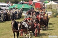 Na weekend: wybory miss i konne sikawki