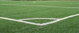 Posadź drzewo na stadionie