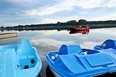 Poszukują świadków 