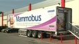 Mammobus Muszkieterów