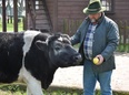Krowa w Soplicowie być musi