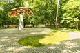 Kościański park 