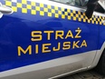 Rok w statystykach Straży Miejskiej