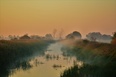 Poranek nad Obrą