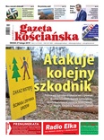 1042 numer Gazety Kościańskiej