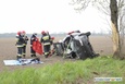 Dachowało punto