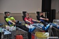 Zebrano 20 litrów krwi 
