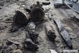 Archeolodzy szukają skarbów 