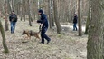 Szczęśliwy finał poszukiwań