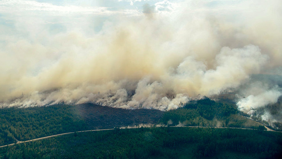 Szacuje się, że ogień strawił już dwa miliony metrów sześciennych lasów