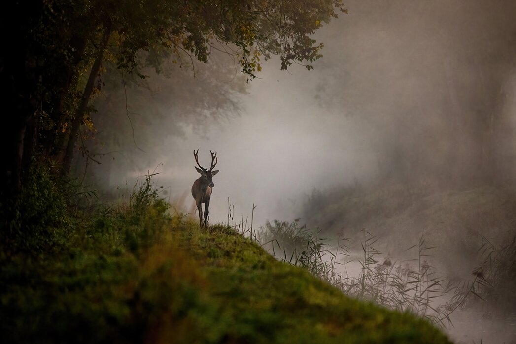 Fot. Damian Musialski 