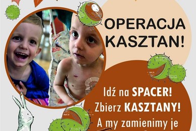 Operacja kasztan