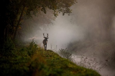 Życie nad kanałem Obry