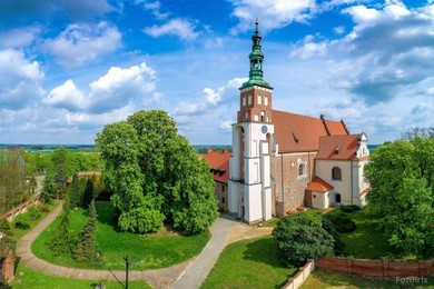 Uratowali Benedykta – ozdobę opactwa i pomnik przyrody 