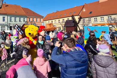 Zajączek na śmigielskim rynku