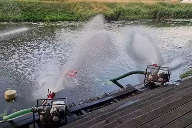 Śnięcie ryb w Obrze: zdarzenie miało charakter naturalny