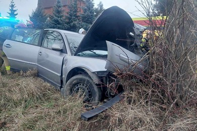 Zjechał z drogi i uderzył w drzewo