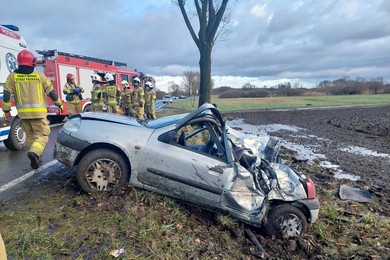 Rozbił auto o drzewo. Pasażer trafił do szpitala