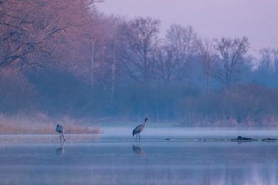 Przedwiośnie na podkościańskich lasach i łąkach