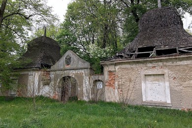 Proszą o pomoc w sprzątaniu zabytkowego cmentarza