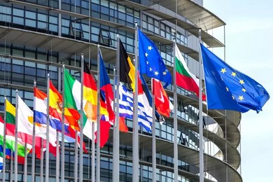 Wybory do europarlamentu. Premier Kopacz w Kościanie