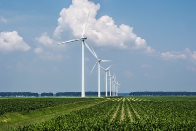 Farma wiatrowa w Gminie Czempiń