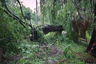 Potężna burza nad powiatem kościańskim  (aktualizacja)